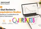 PK-Stat Review in Bioequivalence Studies: Key Statistical Considerations for Regulatory Submissions