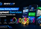 Shivaay Betting Platform Payment Overview: Understand Deposits and Withdrawals