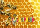 Mad Honey Nepal: Discover Authentic Himalayan Honey
