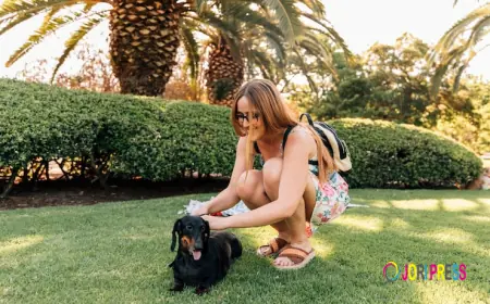 De Beste Hondvriendelijke Villa’s in Italië voor een Ontspannen Vakantie