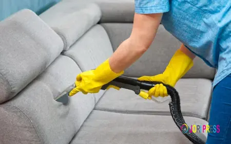 Sofa Cleaning Services in Hyderabad: Fabric, Leather & Price Guide