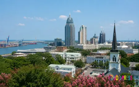 Why Mobile, Alabama Businesses Are Choosing Alpha Digital for Digital Marketing