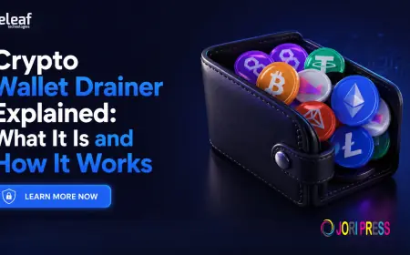 Crypto Wallet Drainer Explained: What It Is and How It Works
