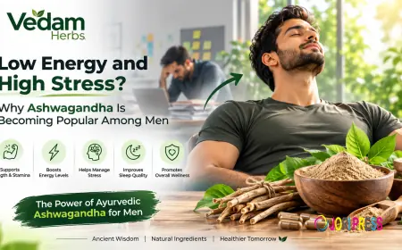 Low Energy and High Stress? Why Ashwagandha Is Becoming Popular Among Men