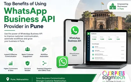 Top Benefits of Using a WhatsApp Business API Provider in Pune