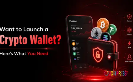 Want to Launch a Crypto Wallet? Here’s What You Need