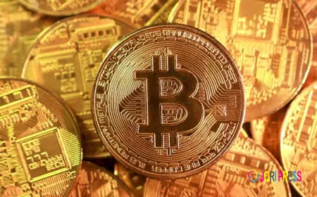 Launch a High-Revenue Crypto Exchange with a Cryptocurrency Exchange Script