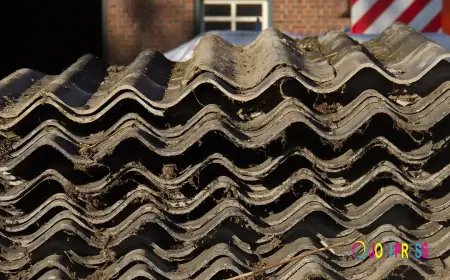 A Step-by-Step Guide to the Asbestos Removal Process: From Property Assessment to Safe Disposal