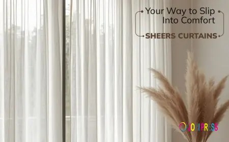 Blinds Installation Perth: Give Your Windows a Smarter, Stylish Upgrade
