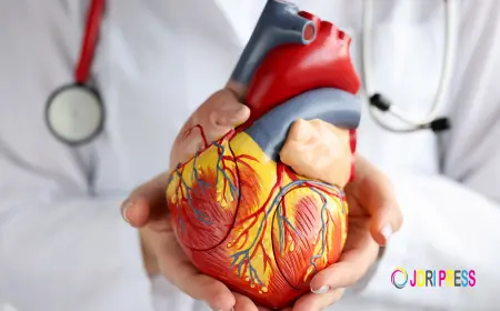 Looking for a Hospital in Chandigarh for Heart Care? Choose Expert Cardiac Care at Kare Partners Heart Centre