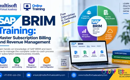 SAP BRIM Training: Master Subscription Billing and Revenue Management