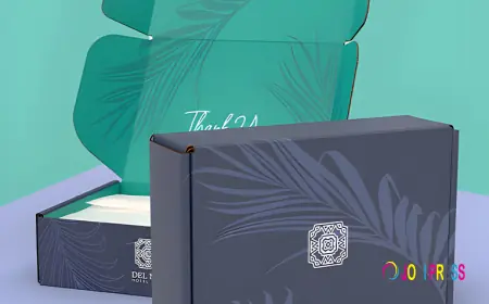 Best Printed Mailer Boxes in Massachusetts for B2B Companies