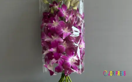 Thai Farm Expands Door-to-Door Supply of Fresh Orchid Leis to US and Hawaii Buyers