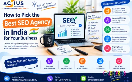 How to Pick the Best SEO Agency in India for Your Business