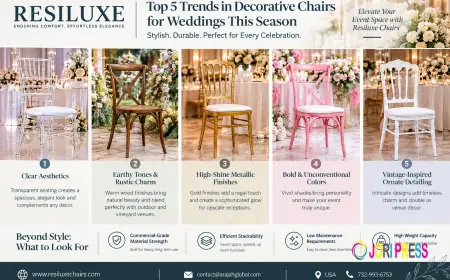 Clear Wedding Chairs Are Trending This Season