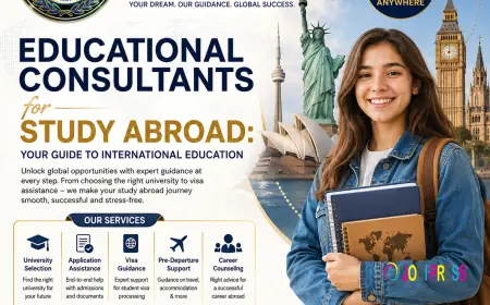 Educational Consultants for Study Abroad: Your Guide to International Education