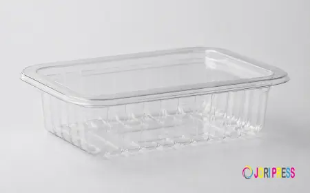 SYNLIFE: Reliable Food Tray Supplier for Global Food Brands