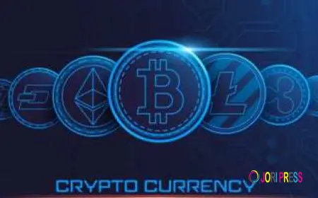 Build a Profitable Crypto Trading Business With a Cryptocurrency Exchange Script