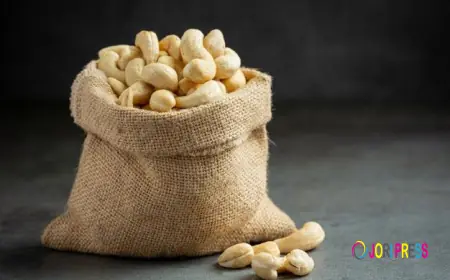 Best Cashew Nuts Company in India: Quality Buying Guide