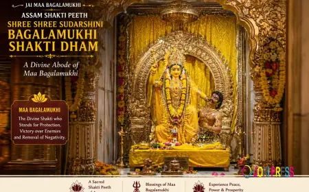 Maa Baglamukhi Temple – Experience Divine Peace at Shree Shree Sudarshini Bagalamukhi Shakti Dham