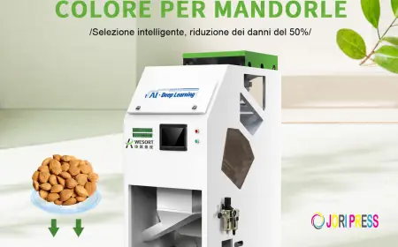 Top 8 Pistachio Color Sorter Suppliers to Compare in 2026