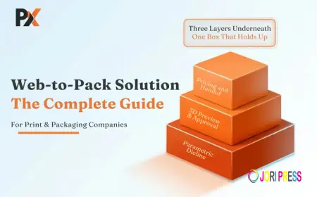 Web-to-Pack Solution: The Complete Guide for Print & Packaging Companies