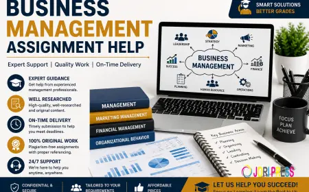 Business Assignment Help: A Practical Guide for Students