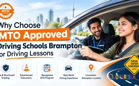 Why Choose MTO Approved Driving Schools Brampton for Driving Lessons?