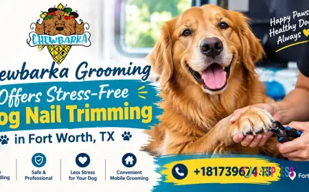 Chewbarka Grooming Offers Stress-Free Dog Nail Trimming in Fort Worth, TX