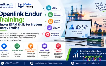 Openlink Endur Training: Master ETRM Skills for Modern Energy Trading