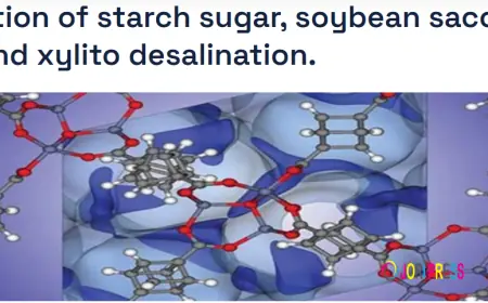 How Much Does a Starch Sugar Desalination Plant Cost in 2026?
