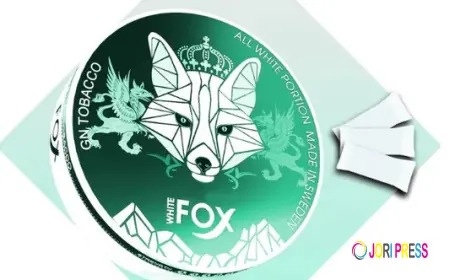From Convenience to Choice: Why Fox Nicotine Pouches Are Drawing Attention in Dubai