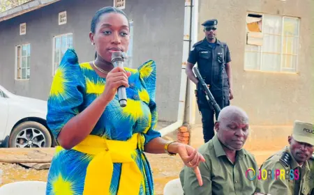 Minister Nameere Orders Arrest Of Kakunyu Parish Chief And SACCO Leaders Over PDM Funds Extortion