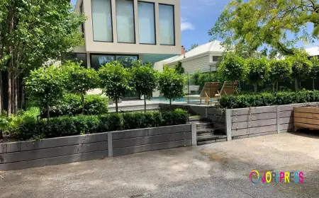 Why Experience Matters When Choosing a Melbourne Landscaping Service