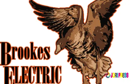 Electrician Near Me | Fast & Reliable Service