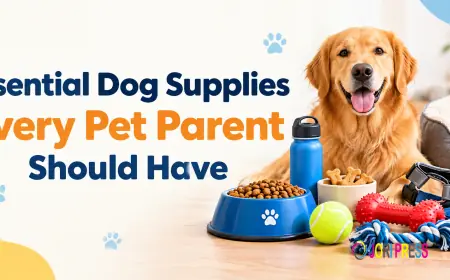Essential Dog Supplies Every Pet Parent Should Have