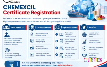 What Is CHEMEXCIL Full Form and Why Is It Important?