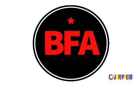 How a Black Professionals Newsletter Keeps Readers Connected and Informed