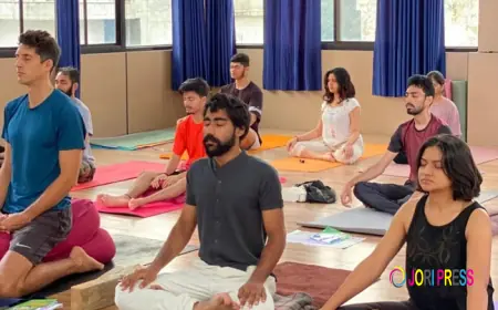 Rishikul Yogshala Rishikesh: 200-Hour Yoga Teacher Training Guide