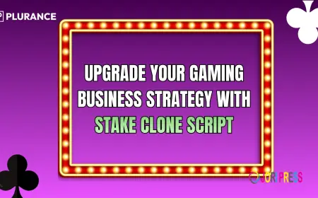 Upgrade Your Gaming Business Strategy with Stake Clone Script