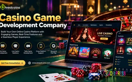 Shaping the Future of iGaming with Casino Game Development
