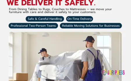 What to Look for When Choosing the Best Removals in Brisbane