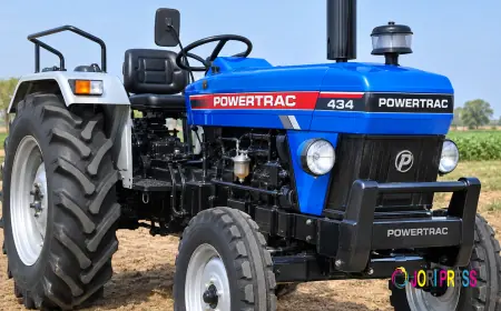 Compact Tractors That Pack Powerful Performance