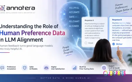 Understanding the Role of Human Preference Data in LLM Alignment