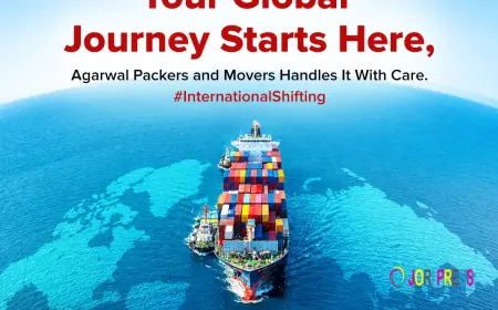 Psychology of Stress Meets Technology of Packing: How Professional Packers and Movers Are Taking the Anxiety Out of Moving