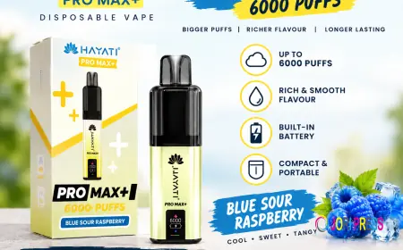 Hayati Pro Max Plus 6000 Box of 5 Wholesale