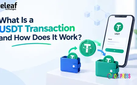 What Is a USDT Transaction and How Does It Work?
