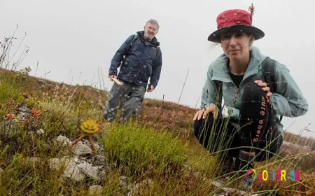 Discover the Beauty of Overberg Through Hiking
