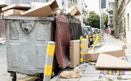 Dumpster Rental in St. Louis: A Convenient Solution for Cleanup Projects