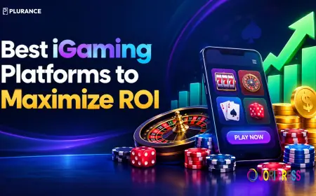 Choose Your Right iGaming Platforms for Business Growth in 2027